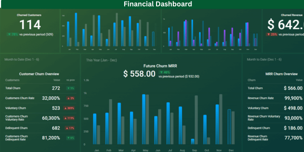 Investor Portfolio Financial Dashboard​