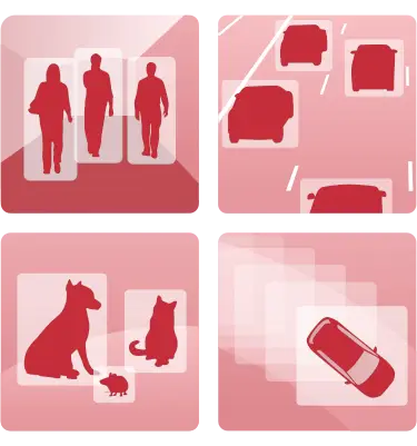 Data Annotation Services