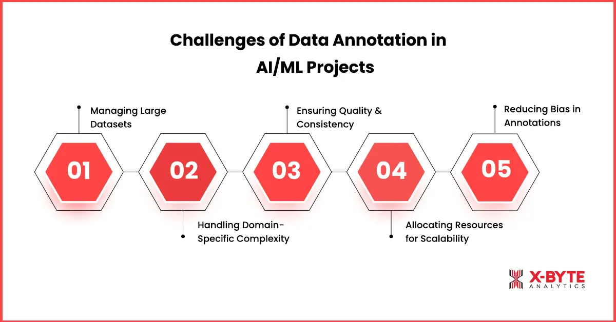 Challenges of Data Annotation in AI/ML Projects