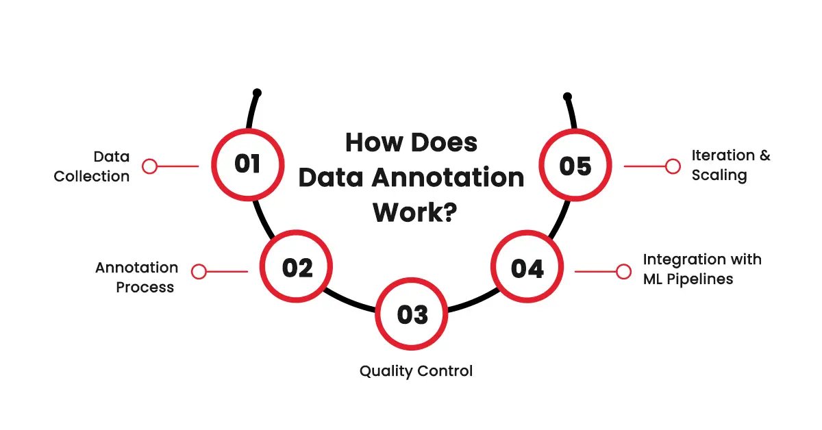 How Does Data Annotation Work?