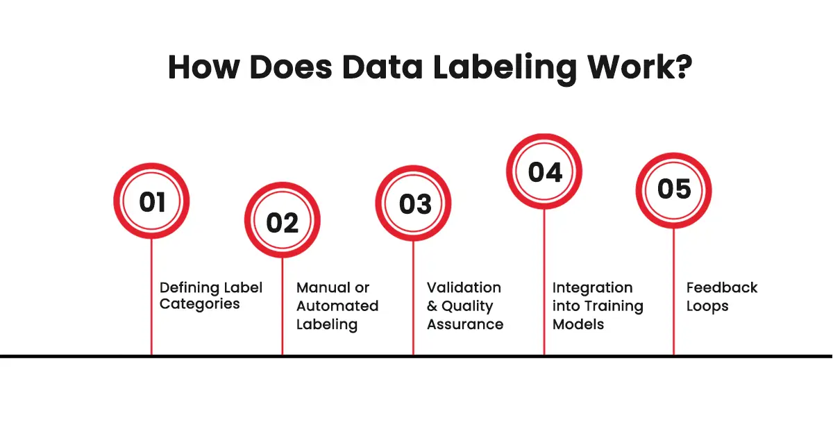 How Does Data Labeling Work?
