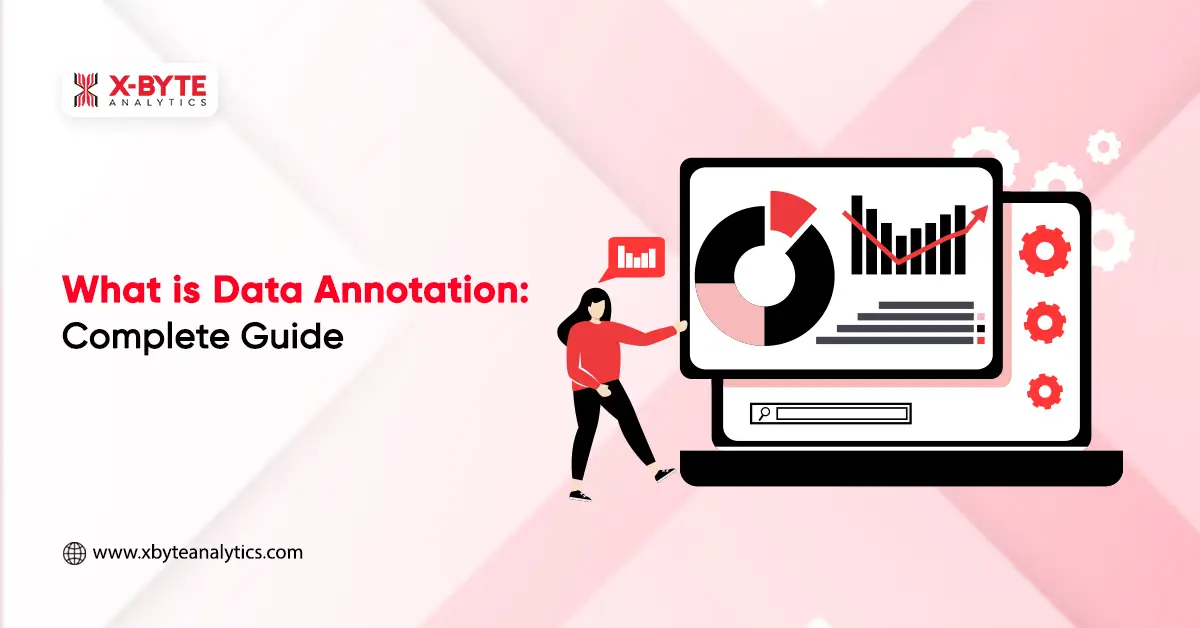 What is Data Annotation