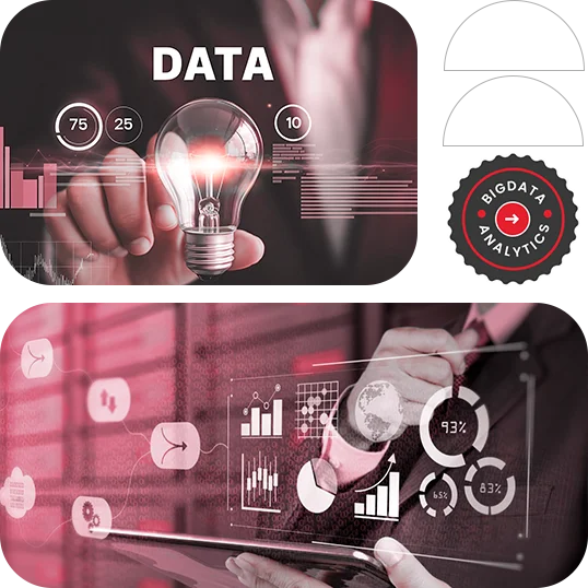 Big Data Analytics Consulting